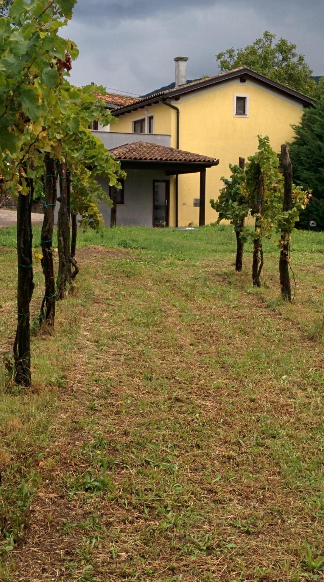 Small House In Vipava Valley Экстерьер фото