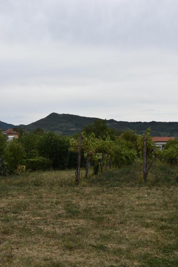 Small House In Vipava Valley Экстерьер фото